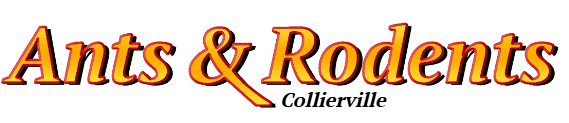 Collierville Ant Exterminator & Rodent Control Company Logo